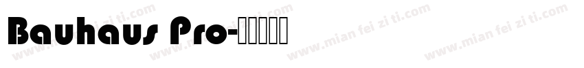 Bauhaus Pro字体转换
